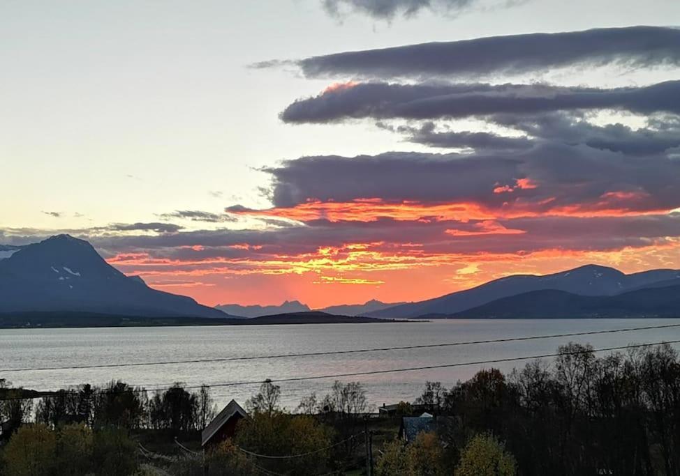 Liten Kjellerleilighet. Landlig Rolig Omrade. Tromso Exterior photo